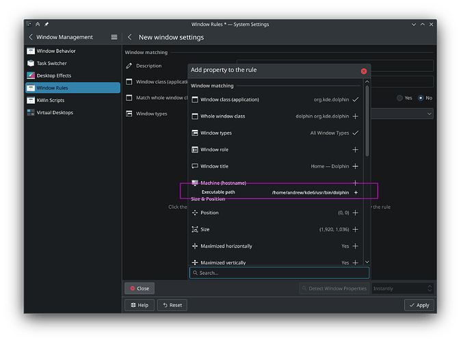 window rules exec path field