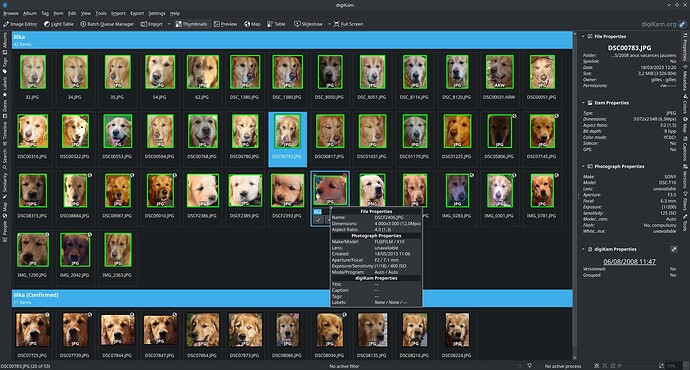 The face-identifying feature identifying faces of golden retrievers.