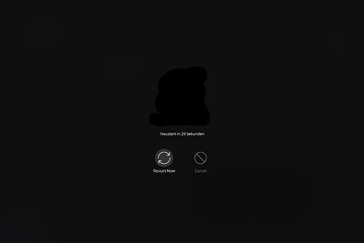 Picture 2: Restart Screen