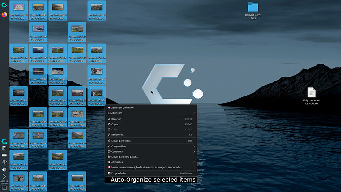 Captura de imagem_20251215_082219