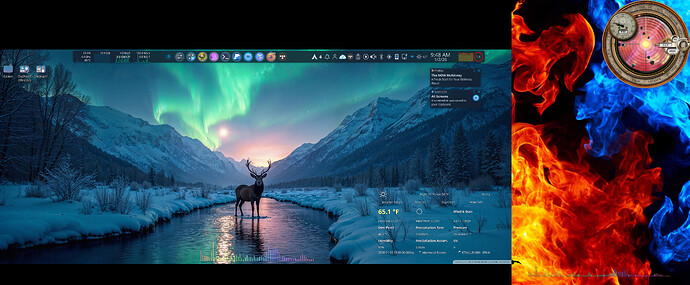 Blue_fire_deer_winter