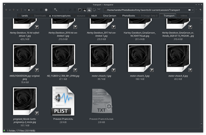 konqueror_treating-dot_bak-files-as-hidden_Screenshot_20250519_201641_01