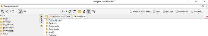 konqueror