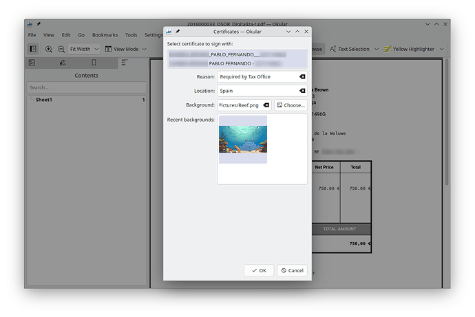 Okular, during the digital signing process.