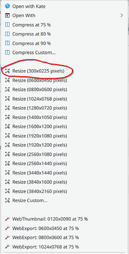 Screenshot_20251009_135541