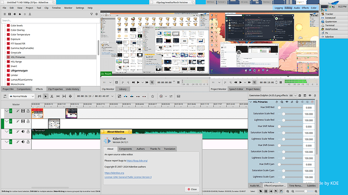 KDenlive-24.12.1