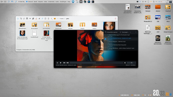 Screenshot_20250225_203317