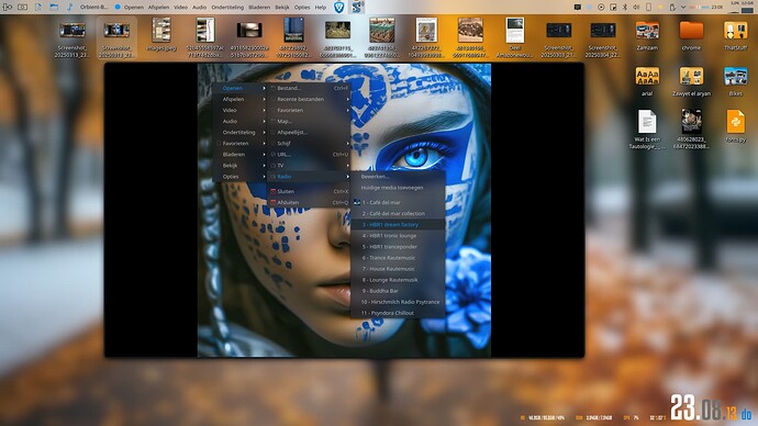 Screenshot_20250313_230840
