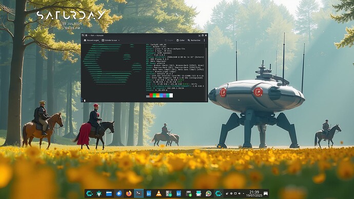 Copie d'écran_20250719_cachyos