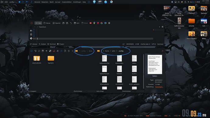 Screenshot_20241223_090909