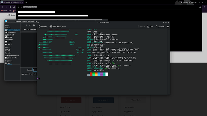Captura de imagem_20251226_011403
