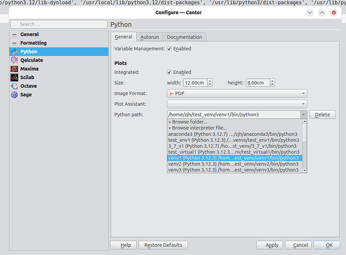 cantor-switch-python-venv