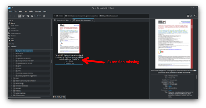 Downloading a file 3