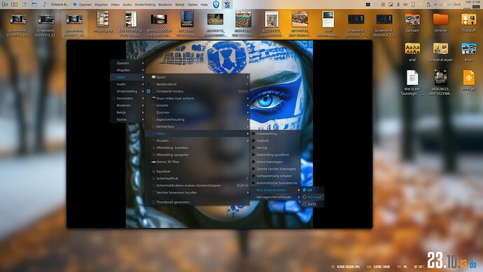 Screenshot_20250313_231030
