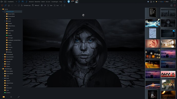 Screenshot_20241219_092633