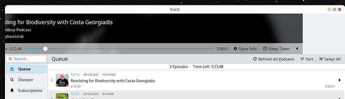 Kasts 24.12.3 display problem