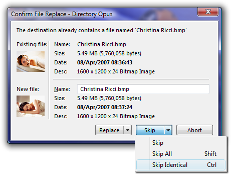 directory opus replace skip identical