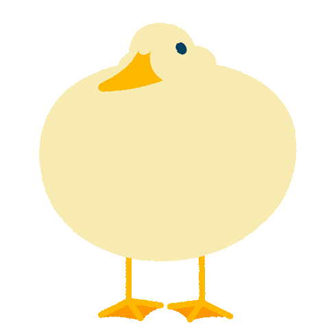 round duck belly transparent