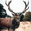 DeerFreak