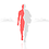 George_Delidov