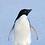 jay_tuckey