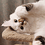 VoluptiousCat